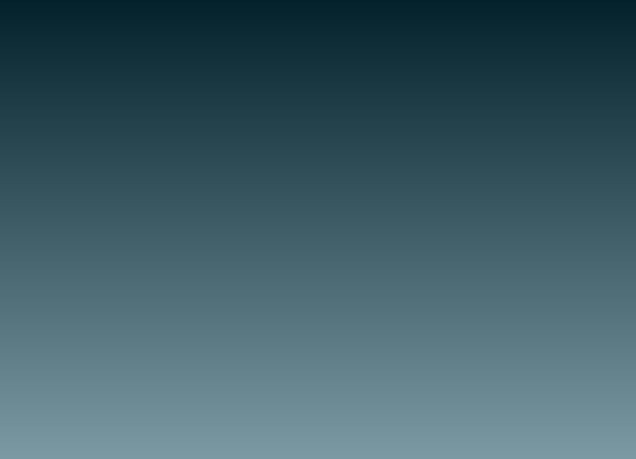 Blank Canvas
